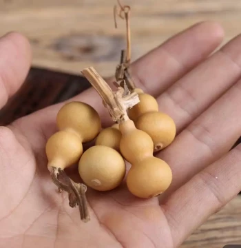 Natural 'Grass Gold' Hand-Twisted Collectible Small Gourd, Extra Small Gourd with Dragon Head Handle Piece, 2.5-3.5 cm Finger-Rolling Size
