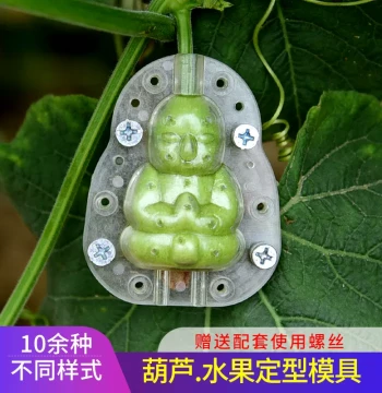 Gourd Growth Shaping Mold, Plastic Mold, Formed Gourd Set Model, Cultural Play Natural Small Gourd Fruit Mold