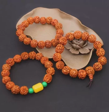 Small Rudraksha Nepalese Bodhi Seeds King Bee Bracelet, Explosive Flesh Wristband, Raw Seed Collectible Buddhist Bead Bracelet