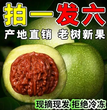 Wild Wenwan Walnuts for Hand Rolling, Natural Closed-Tip White Lion, Toad Head, Official Hat, Four-Story Tower, Chicken Heart Lion Head, Green Skin