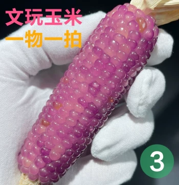 Collectible Gemstone Corn Raw Material Handheld Piece Mini Gemstone Blood Vein Corn Blind Box (3)