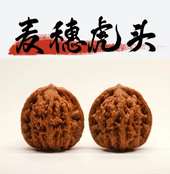 One Item One Photo: Wild Old-Tree Lion-Tiger Beast and Lion's Head Walnuts, Wheat-Ear Tiger Head, Real Object Photography, Natural Color for Play