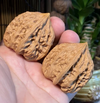 Old Tree Chicken Heart High-Post Wenwan Walnut Massage Ball for Hand Flexibility Exercise, Turns Agate Red Over Time, Real Product Photo