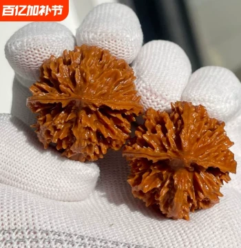 Chrysanthemum Big Lantern Ma Walnut Type Perfectly Paired Shaanxi Qinling Collectible Thick-Vein Short-Stump Handheld Piece Yuanbao Iron Ball