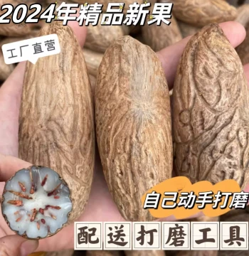 Premium Natural Thousand-Eye Bodhi Seeds - Fresh Raw Material for Large-Scale Polishing and Hand Play; Jade Emperor Green Palm Piece