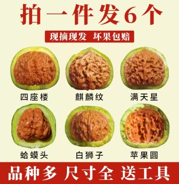 Green-Skin Toad Head Wenwan Walnuts: Three-Ridge, Four-Seat Tower Lion's Head, Grinding Wheel, Palace Lantern, Apple Shape Handheld Play Pieces, Official Hat Style