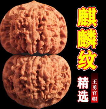 Wenwan Walnut Qilin Pattern Extra-Large Guanmao King Yong Lion Head Natural Color Precision Matched Pair for Hand Exercise, 50mm Men's