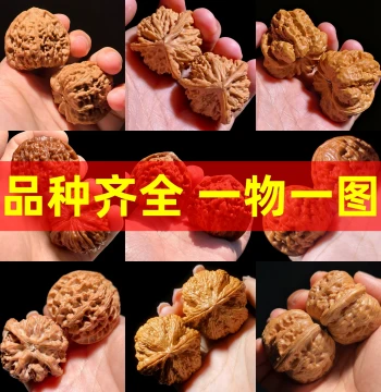 Shanzhongyu Wenwan Walnuts for Hand Play, Premium Three-Ridge Nanjiang Stone, Apple Orchard, Four Towers, Guan Mao, White Lion