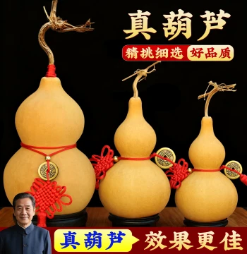 Natural Gourd Pendant with Dragon Head Display Opened Wooden Gourd Living Room Office Small Wenwan Handheld Piece Real Gourd Large