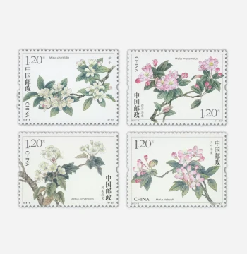 Begonia Flower Stamps 120 Points Mailable Letter Set for Philately Collection