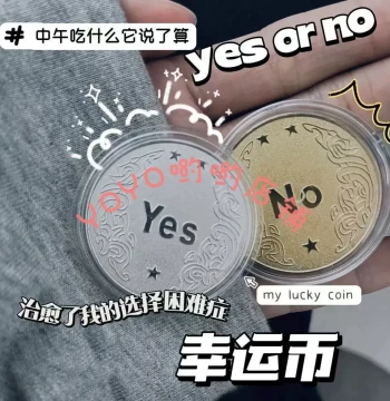 Limited Edition YES/NO Decision Coin – Lucky Wish Coin, TikTok Viral Hit, Creative Gift, Playful Commemorative Coin with Wish Bottle