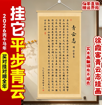 'No One Supported My Lofty Ambitions' Brush Handwritten Authentic Calligraphy, New Chinese Style Living Room Study Entryway Inspirational Scroll Hanging Painting