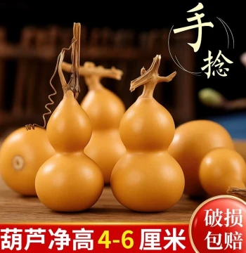 Natural Small Gourd Collectible with Dragon Head, Chubby Hand-Rolled Premium Wild Gourd, Mini Home Living Room Ornament