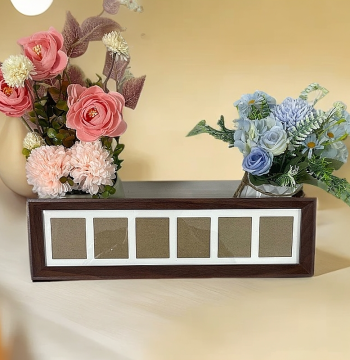 Six-Row Photo Frame Living Room Entryway Decorative Ornament for Coin Crafts Art Supplies Collection Gift Calligraphy Items-T1