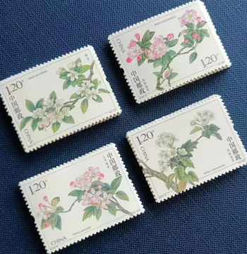 Begonia Flower Stamps: 120-Cent Mailable Floral Stamps
