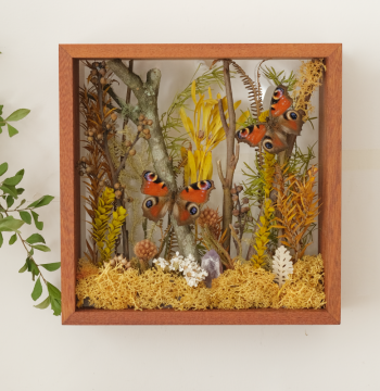 Garden Plant Specimen Ornament with Double Butterfly for Micro-Landscape Terrarium