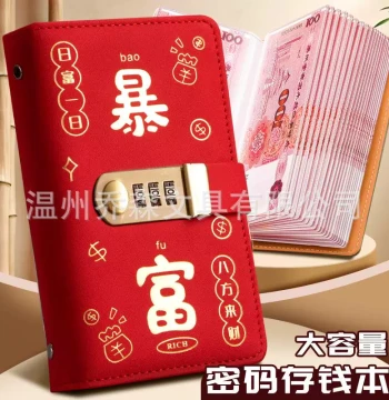 New Money Storage Binder for Cash, Banknotes, and Coins – Collectible Organizer with Ledger Function