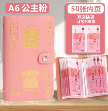Cash Storage Binder for RMB Banknotes and Coins