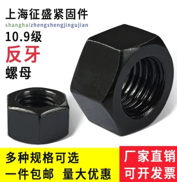 Reverse Thread Nut, Left-Handed Cap Screw, Grade 10.9, M10/M12/M14/M16/M24/M27/M30/M36-M64