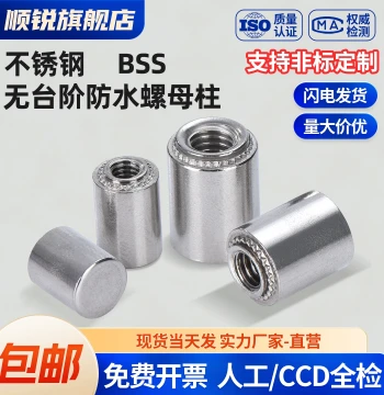 Stainless Steel Stepless Waterproof Blind Hole Press-Fit Stud BSS-M3/M4/M5/M6/M8/M12 Custom