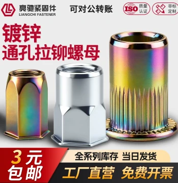 Rivet Nuts Flat Head M6 Half Hex M8 M4 M5 Small Countersunk New Style M10 M3 High Strength Studs Extended M12 Vertical Thread