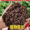 Universal Nutrient Soil for Home Flower Planting and Vegetable Growing - Organic Potting Mix for Succulents 100 Jin