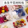 Dried & Preserved Flower DIY Kit for Scented Candles – Ocean Style for Festivals, Team Building, and Workshops