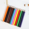 Painted Wooden Colored Pencils Set with Gold Powder, Creative Engineering Pencils for Gongbi Coloring, Basic Packaging