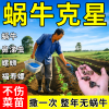 Snail-Specific Slug & Snail Killer Scatter-Type Anti-Pest Granules for Vegetable Gardens Slugs Apple Snails Fruit & Vegetable Fields