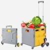 Rapid Folding Shopping Cart, Small Trolley for Stairs, Lightweight Portable Home Handcart, Supermarket Pushcart and Vegetable Basket