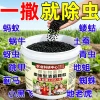CAAS-Developed Granular Insecticide and Fungicide for Vegetable Gardens – Soil Pest Control and Fertilizer for Enhanced Vegetable Growth and Yield