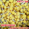 Children DIY Art Rubbing Stick Round Painting Sponge Brush Graffiti Stamp Tool Kindergarten Rubbing Materials