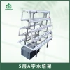 Soilless Cultivation Equipment Plant Factory Display Rooftop Hydroponic Pipe System for Leafy Vegetables and Fruits, Type A Planting Rack