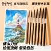 Black Swan Watercolor, Gouache, and Acrylic Paint Brush Set - Professional Art Painting Tools for Numbered Paint-by-Number Kits