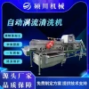 Quick-Frozen Vegetable Deodorizing Sterilization Washer IRW Zhongfang Ready-to-Cook Vegetable Production Washing Line Semi-Finished Vegetable Processing Oxygen Equipment