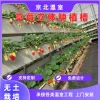 Greenhouse Soil-Free Strawberry Growing Trough - PVC Elevated Hydroponic Channel with Drainage Outlet for Aerial Planting