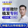[Damai Micro-Needle Hair Transplant Patent] Micro-Needle Planting (500 Units) - Suitable for Temples and Hairline