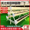 Strawberry Planting Trough - Soil-Free A-Frame Vertical Planter for Vegetables and Fruits