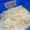 Commercial Vegetable Cutter for Chili, Branches, Pandan Leaves; Dicing and Slicing Machine; 304 Stainless Steel Bean Cutter