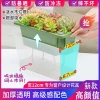 Home Balcony Vegetable Planter - Self-Watering Plastic Pot for Strawberries and Succulents
