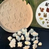 Useless Genius Autumn Forest Animal Plant Bird Butterfly Handmade Pottery Ceramic Stamp Clay Mold