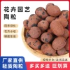 Guangxi Soilless Cultivation Ceramsite Substrate for Orchids and Green Plants - Lightweight Stone 5-30mm, Multiple Sizes Available for Hydroponics
