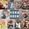 Menghu Custom Plush Squeaky Keychain with Custom Voice - DIY Anime Comic Fabric Mini Pillow Charm
