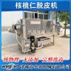 Stainless Steel Walnut Kernel Peeling Machine - Pecan Physical Peeling Equipment, DDA Washing Unit, Nut Kernel Peeler