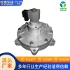 Electromagnetic Pulse Valve Blow-Type Submerged Right-Angle Explosion-Proof Solenoid Valve