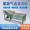 Broccoli Vegetable Washing Machine for Pre-made Dishes, Water Bath Cleaning Equipment with Bubble System for Herbs and Export-Grade Produce