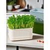 Bean Sprout Germinator Tray, Hydroponic Vegetable Growing Container, Soil-Free Pea Sprouting Pot