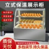 Disipulai Hot Air Circulation Vertical Food Warmer Display Cabinet - Adjustable Temperature Countertop Cooked Food Warming Equipment