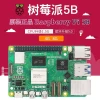 Raspberry Pi 5 Development Board Kit Python Programming Linux Mini Computer Raspberry 5B