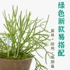 Sustee Flower Message Moisture Meter Soil Humidity Sensor Smart Plant Watering Tool with Low-Water Alert